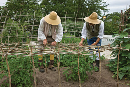 The Historic Art of Trellising Image